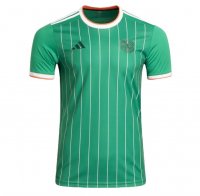 Celtic Shirt 'Irish Origins' 2024