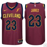 LeBron James, Cleveland Cavaliers - Icon