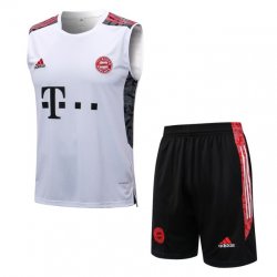 Bayern Munich Training Kit 2022/23